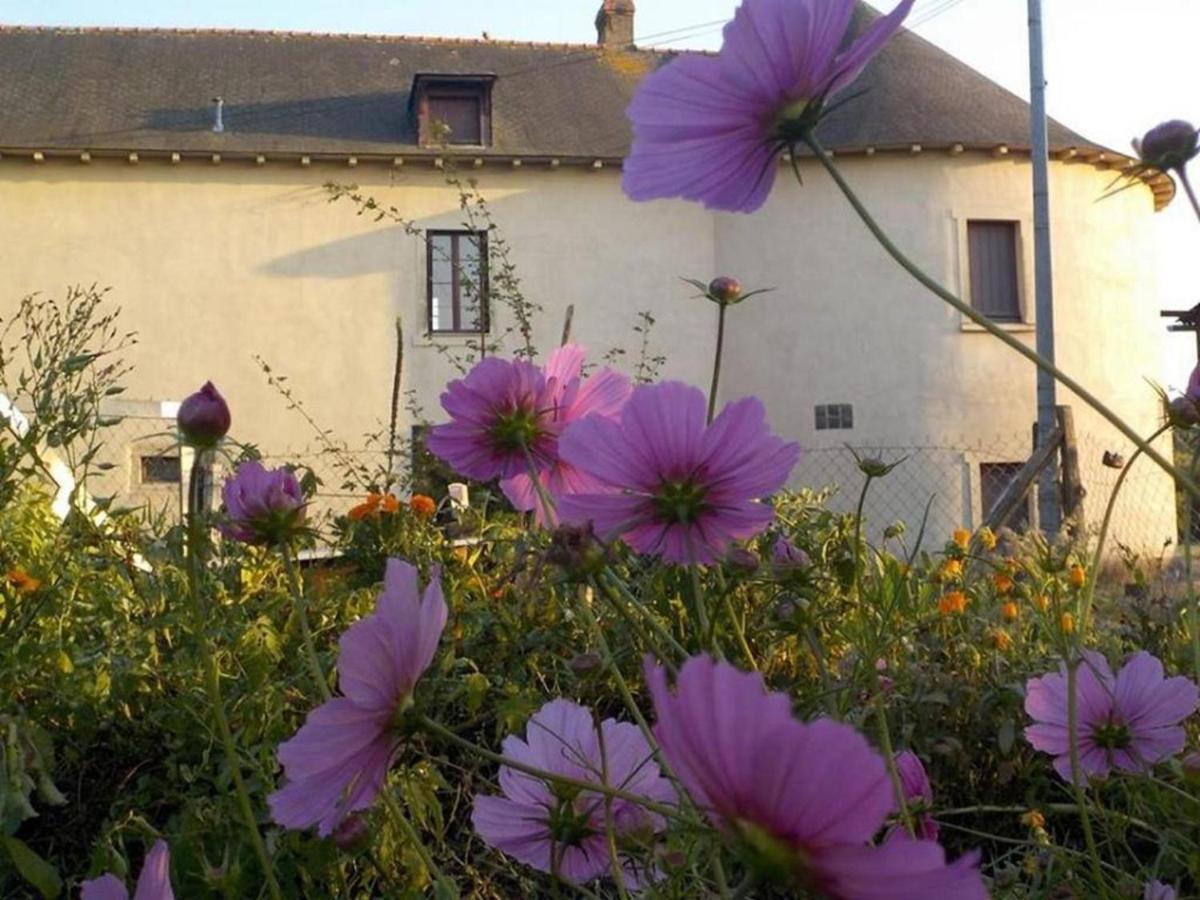 Manoir De La Guignardiere : The Ou Cafe ? Chavagne Экстерьер фото